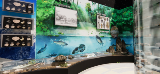 青藏高原綜合科學(xué)考察與研究古生物展廳 在拉薩之巔，探尋生命演化的史詩(shī)