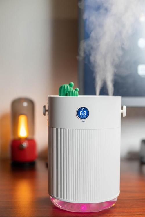 獨居生活精致好物第一彈 向物可移動加濕器——漂亮、小巧、好用 加濕器